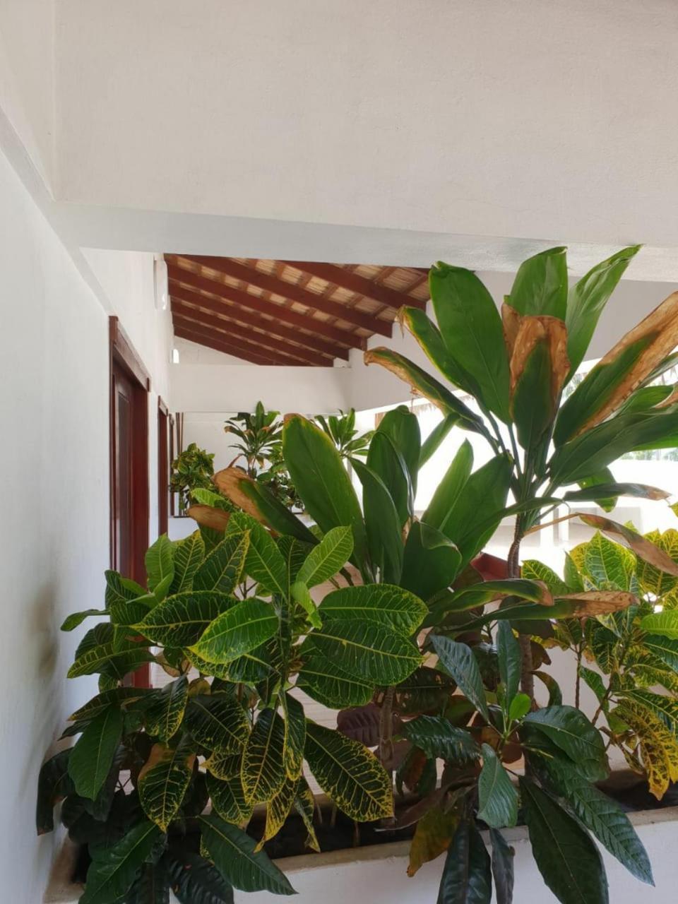 Oasi Encantada - Beach Resort Barahona Dış mekan fotoğraf