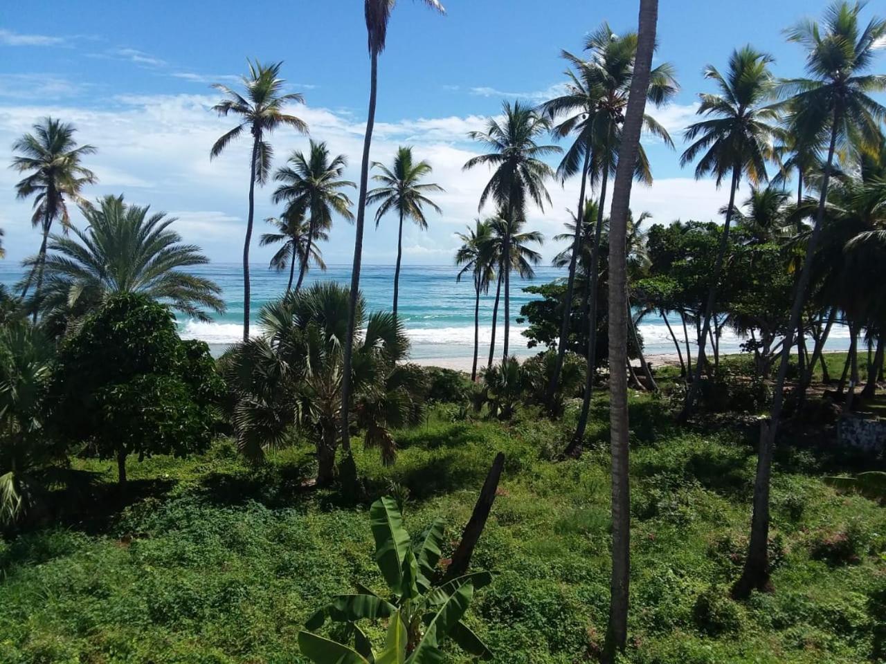 Oasi Encantada - Beach Resort Barahona Dış mekan fotoğraf